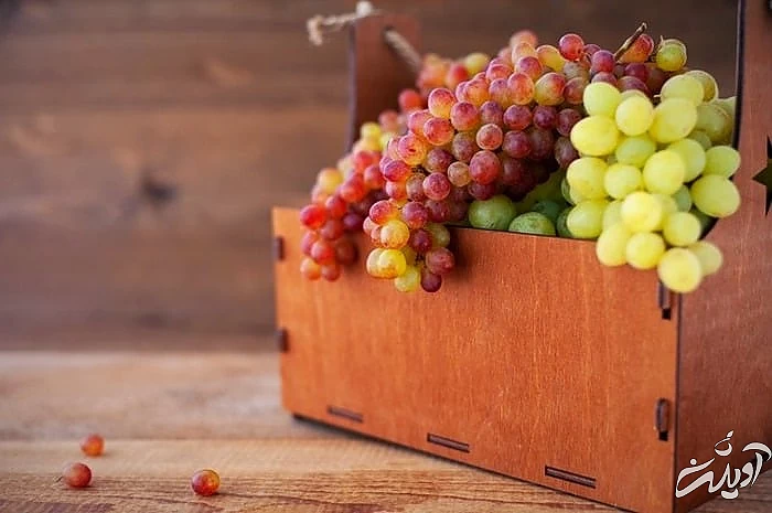 مواد غذایی سرشار از ویتامین c  مصرف انگور